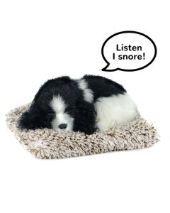 Perfect Petzzz Mini Cocker Spaniel-1
