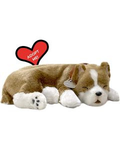 Perfect Petzzz Original Pitbull-2